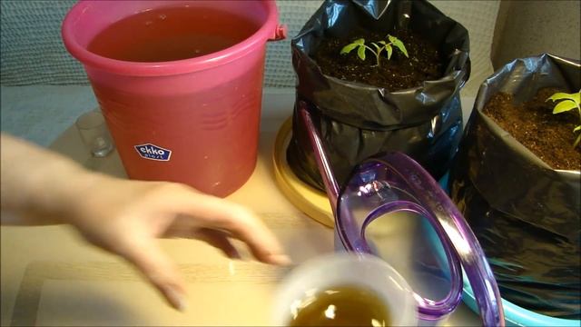 ВЫРАЩИВАНИЕ ТОМАТНОГО ДЕРЕВА В САДУ ШАГ 3 смотреть онлайн