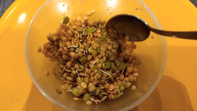 Пророщенная красная чечевица , как прорасить? смотреть онлайн