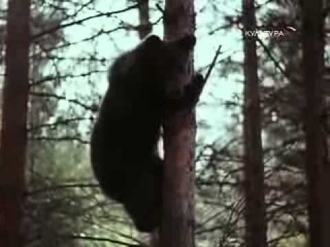 Дрессировщики 1975 2 серия смотреть онлайн