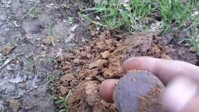 Поиск монет у старой мельницы. смотреть онлайн