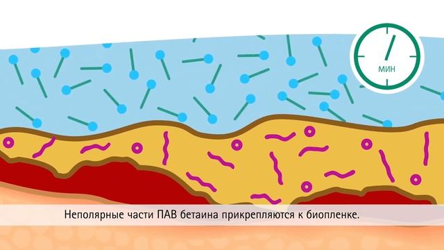 Как работает Пронтосан?