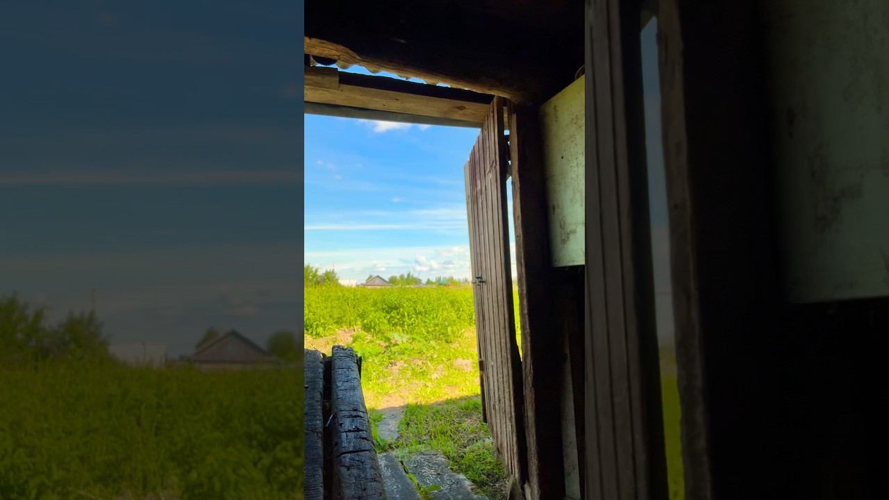 #remix #top #рекомендации #рек #like #тренды #подпишись #деревня #топ #тренды #лето #summer #vibe