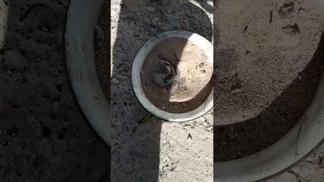 Плавим бронзу смотреть онлайн