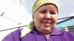 Огородные дела . Посадить  правильным способом  саженцы ,смородины и крыжовника .