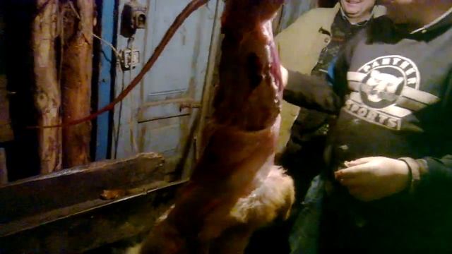 Снятие шкуры с лисы ... смотреть онлайн