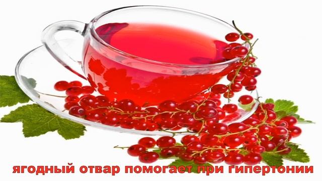 Про смородину … смотреть онлайн