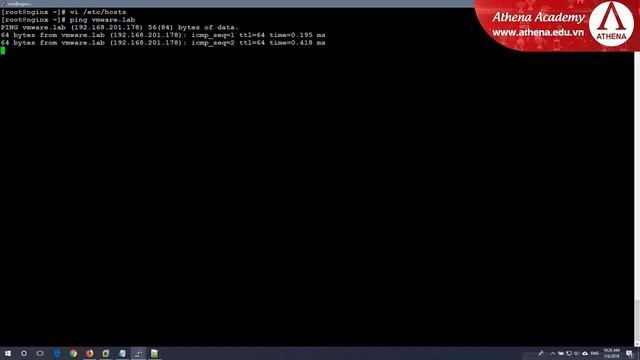 Thiết lập Nginx Reverse Proxy смотреть онлайн