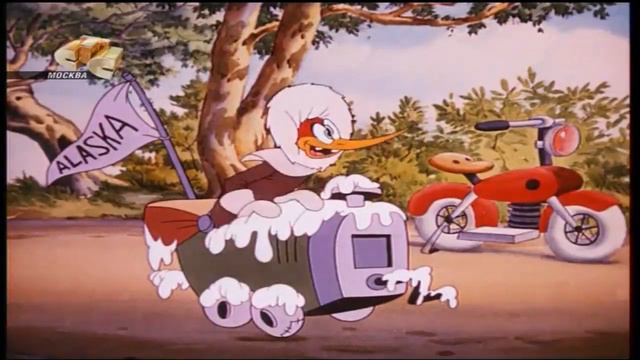 Вуди Вудпекер #3