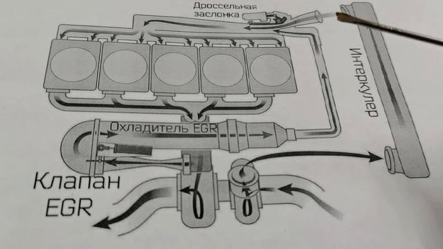 Как работает клапан ЕГР. смотреть онлайн