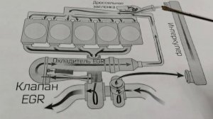 Как работает клапан ЕГР.