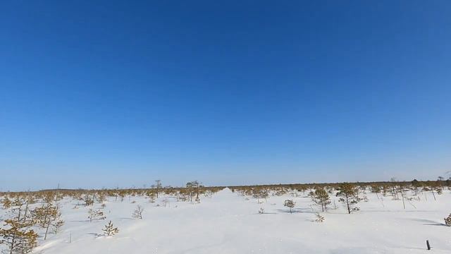 В поисках великана Нахарванта смотреть онлайн