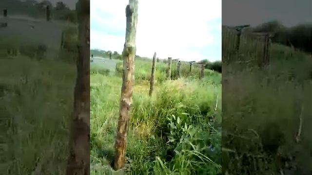 Великая Российская граница Китая Дальнего востока смотреть онлайн