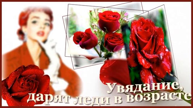 Язык цветов. Красная роза любви.Радуга слайд шоу смотреть онлайн