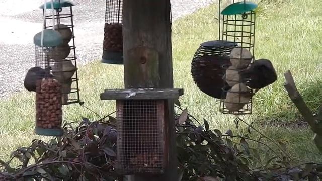 Test Shots with Panasonic V100 720p смотреть онлайн