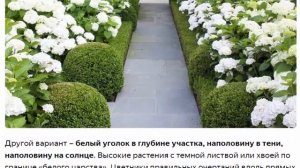 Белый сад  Монохромный сад