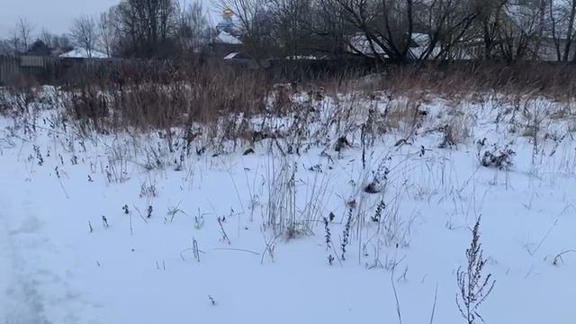 Видео 229 смотреть онлайн
