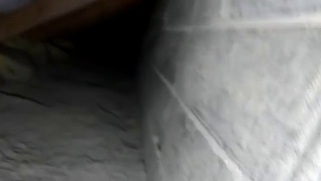 Утепление дома Эковатой с демонтажом и подготовкой