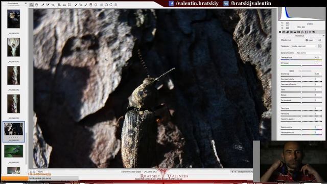 Canon 350D спустя 15 лет, новые фишки по макрофотографии. смотреть онлайн