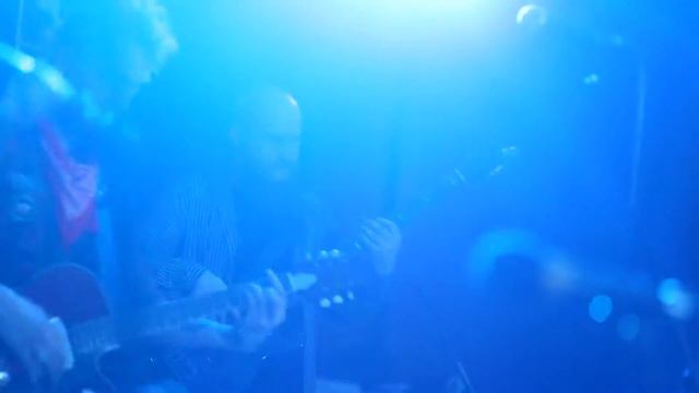 Drinking Pumpkins - My Companjera (Gogol Bordello cover) смотреть онлайн