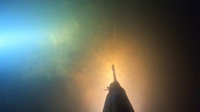 Неудачный день на подводной охоте смотреть онлайн