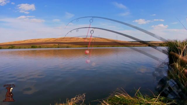 За Карасем!!! Рыбалка на карася с берега на донки в Октябре смотреть онлайн