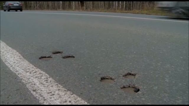 Дорога с СД Армидон спустя 2 года смотреть онлайн