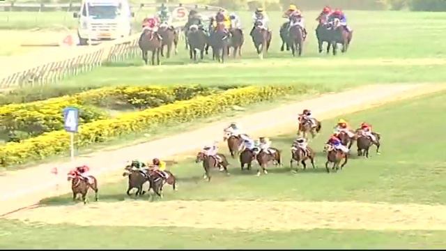 Race Preview Bangalore Summer Meeting 2019 26 May 2019