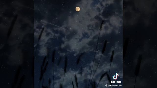 Самый редкий звездопад за всю  историю земли