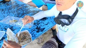 Райский остров со Своим Ходом| Маврикий