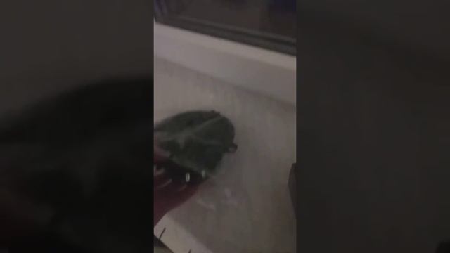 Обзор акустики Урал т-130 смотреть онлайн