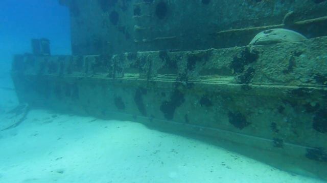 2021 Bahamas Dive with Stuart Cove's in 4K смотреть онлайн