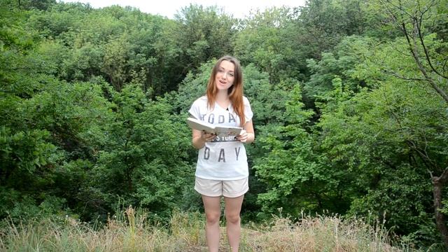 Некрасов Н. А. "Не люблю иронии твоей" смотреть онлайн