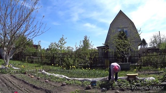 На даче. Спилил один орех. Ремонтирую летний душ. Едем в Бернады.Vlog.Брест смотреть онлайн