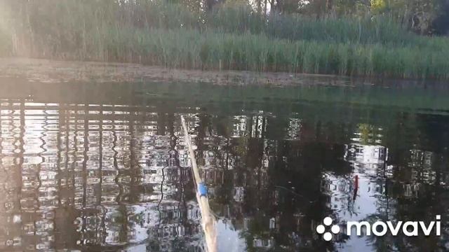 Отдых в Республике Мордовии/Рыбалка/Новый выпуск/Влог смотреть онлайн