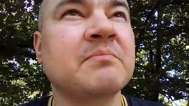 Три поросёнка и волк - Шрапит Йога. Не подражай Раху и Сатурну - не суди осуждающего пороки. Созида смотреть онлайн