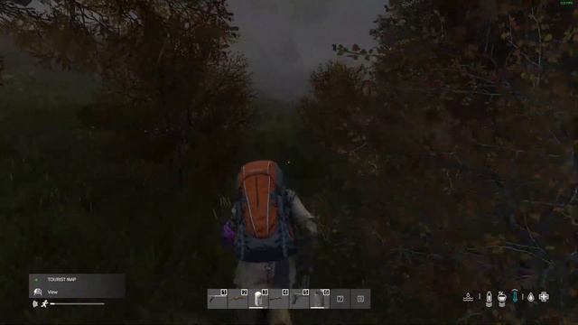 Gagasha Vanilla BOTS PVE 10/12/23 смотреть онлайн