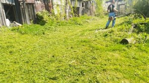 Струны (леска) 7 мм Oregon для триммера в работе. Stihl fs 450 косит толстой леской.