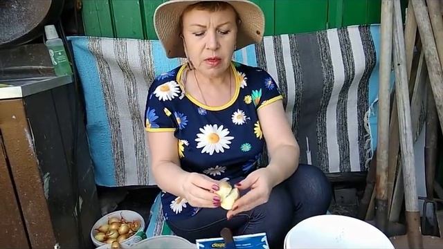 Посадка семейного лука . Тюменский огород смотреть онлайн