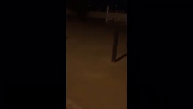 В Ленинском районе жители заметили лису смотреть онлайн