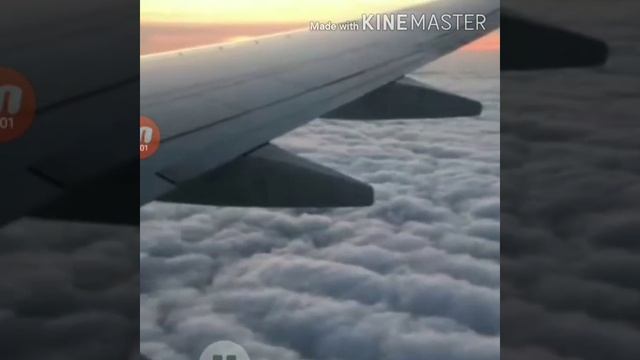 Do you know where you going to cover(git) смотреть онлайн