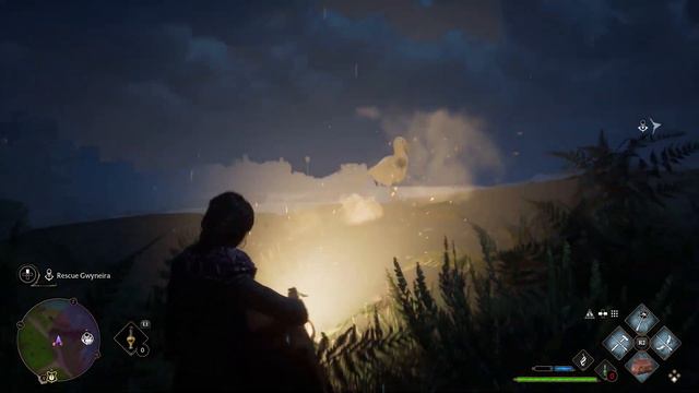 Hogwarts Legacy Road to 100% - Capturing Gwyneira смотреть онлайн