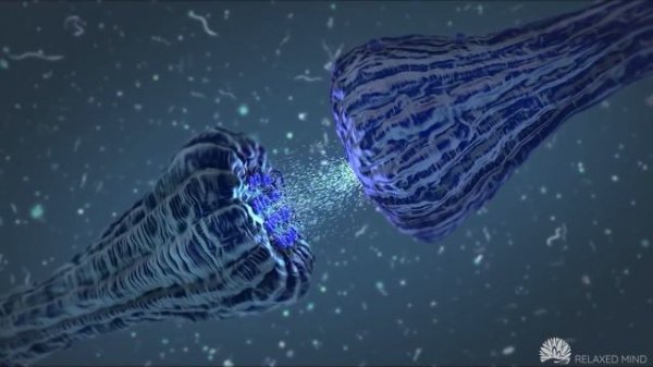 999 Hz Repair DNA, Bring Positive Transformation, Whole Body Regeneration, Healing Music