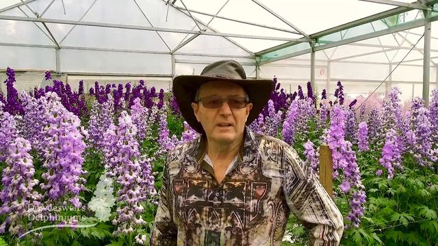 The Story of Dowdeswell's Delphiniums, Terry and Katrina смотреть онлайн