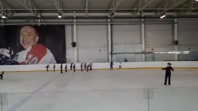 Тренировка по фигурному катанию ФОК Мещера.30.01.2015 смотреть онлайн