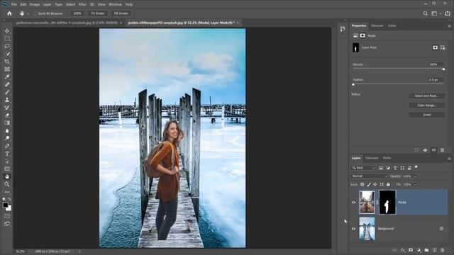 Adobe Photoshop (2020)