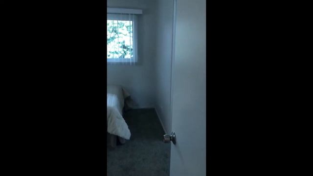 1425 Magnolia St. Redding, CA 96001 смотреть онлайн