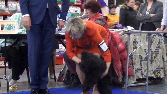 00014Моно Екатеринбург 23.04.2017 Irsona Bell Aurens смотреть онлайн