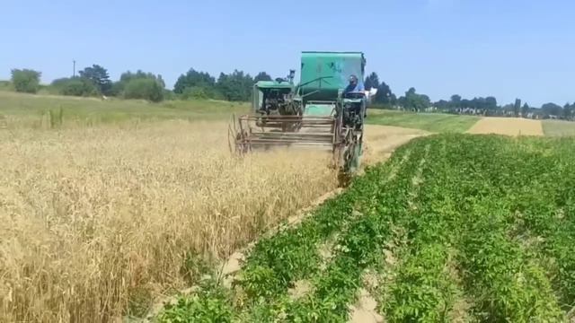 Жнива. Ціни на Пшеницю, Ячмінь, Жито, овес. смотреть онлайн