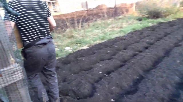 Vlog/ купили кур/ нам подарили петуха / завели хозяйство смотреть онлайн