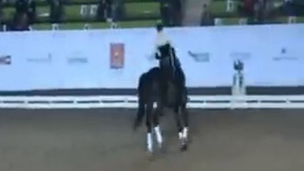 "Весенний карнавал выездки" Vivat -Sergienko 2008